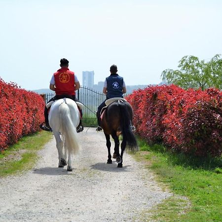Vento Barocco - Equitazione E Turismo Villa Matera Kültér fotó