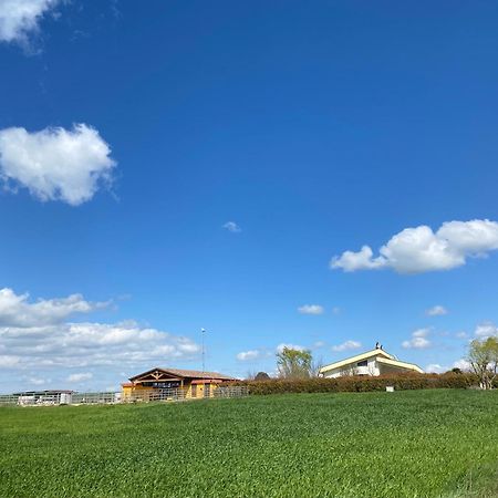 Vento Barocco - Equitazione E Turismo Villa Matera Kültér fotó