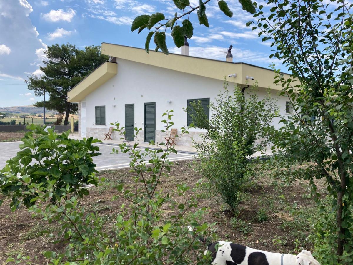 Vento Barocco - Equitazione E Turismo Villa Matera Kültér fotó