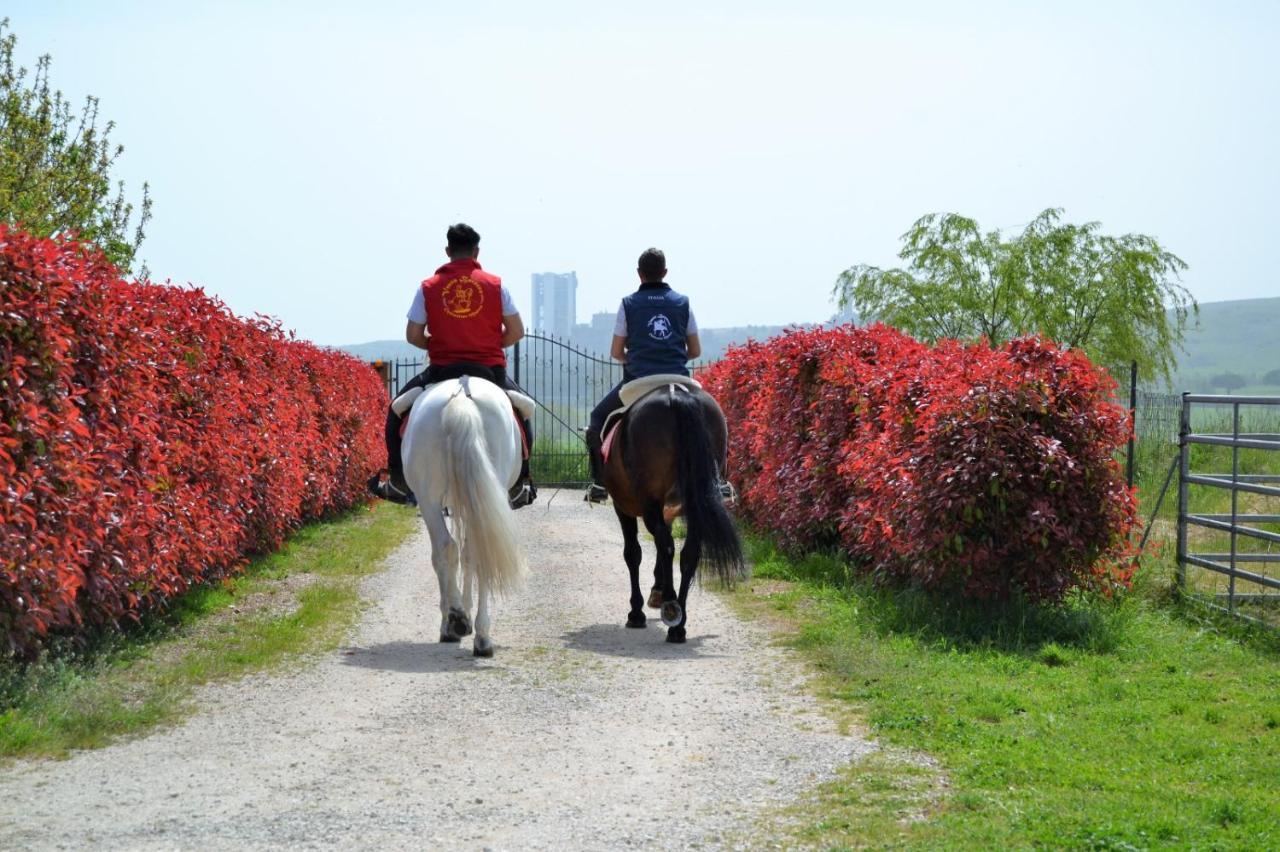 Vento Barocco - Equitazione E Turismo Villa Matera Kültér fotó