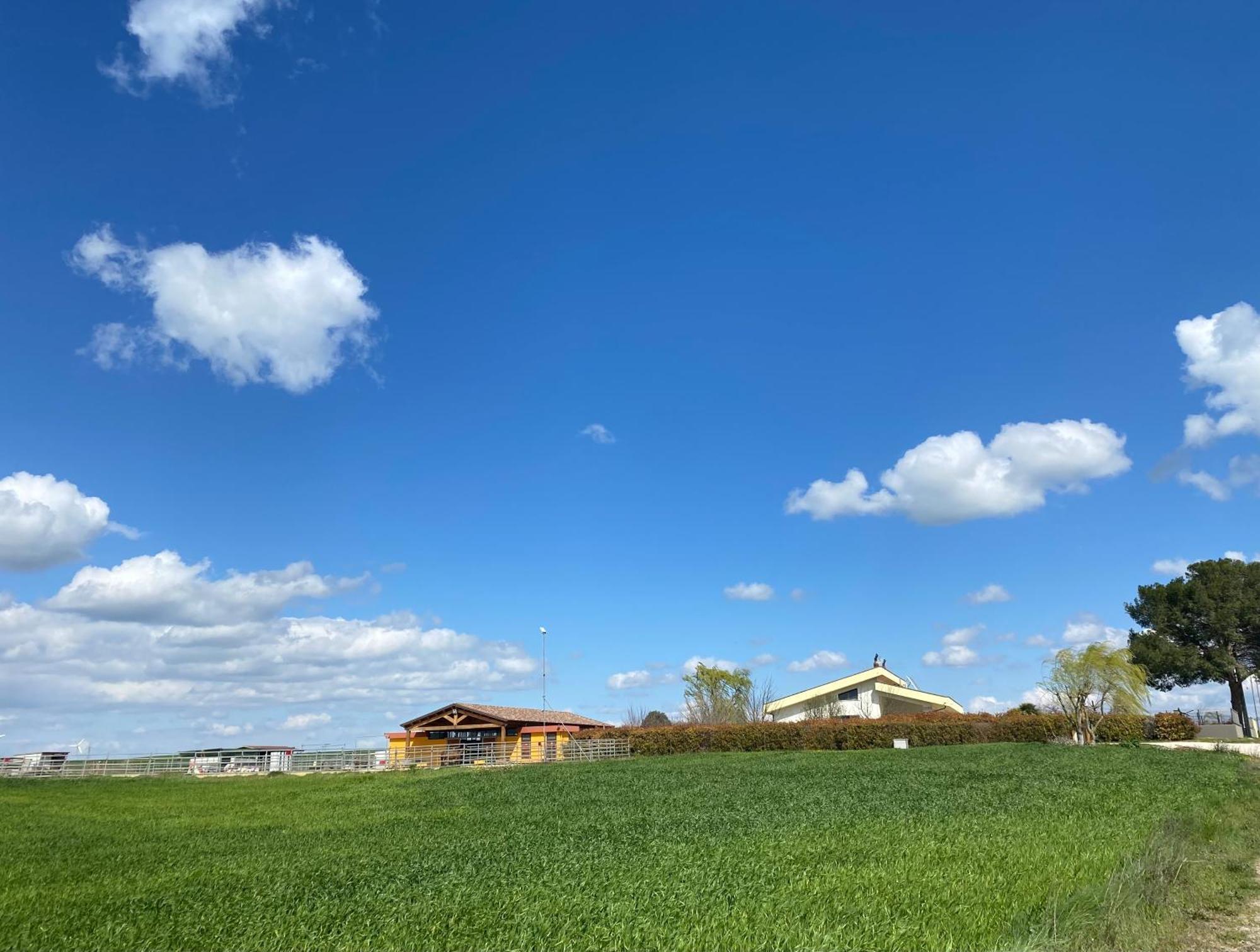 Vento Barocco - Equitazione E Turismo Villa Matera Kültér fotó
